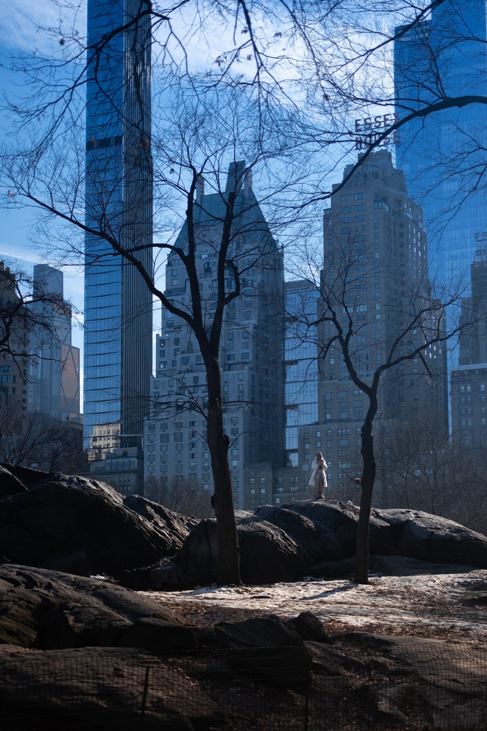 A lone figure stands on dark rocks in Central Park beneath bare trees and Midtown towers.